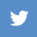 Twitter icon