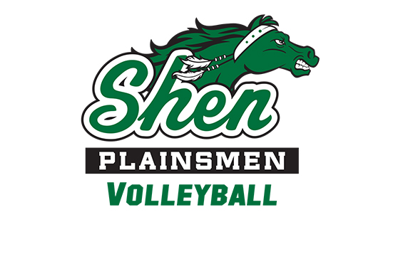 volleyball logo